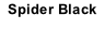 Spider Black